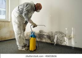 Mold Remediation